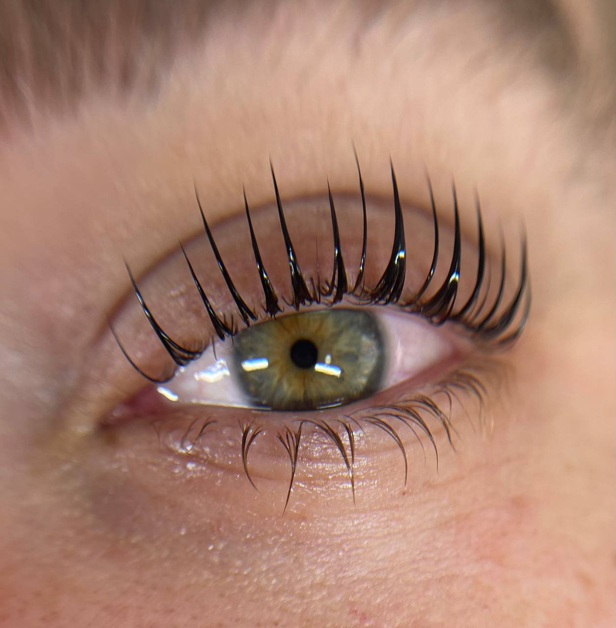 השתלמות ריסים