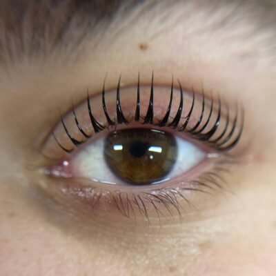 הרמת ריסים בשיטה המקסימלית